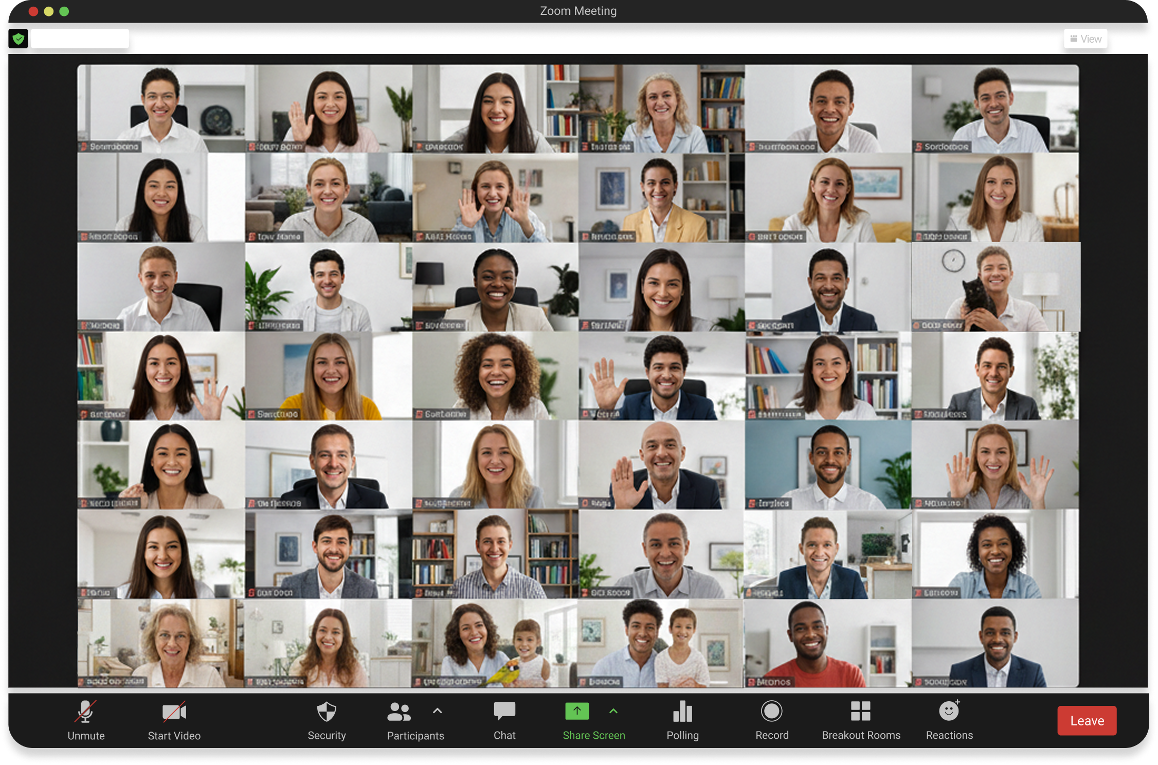 1-on-1 Strategy Support Zoom Meeting